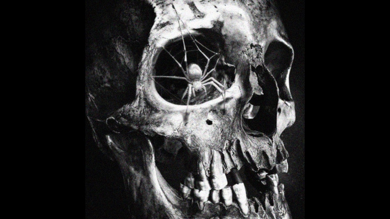 [FREE] MEMPHIS x $uicideboy$ x Freddie Dredd type beat 