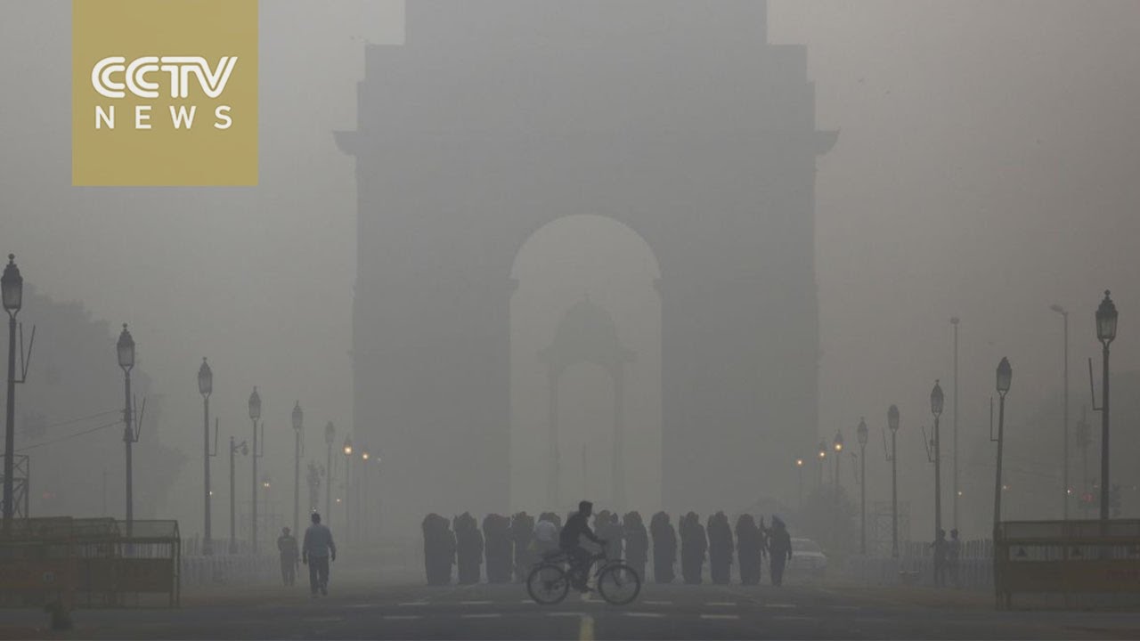 New Delhi closes over 1,800 schools in response to dangerous smog