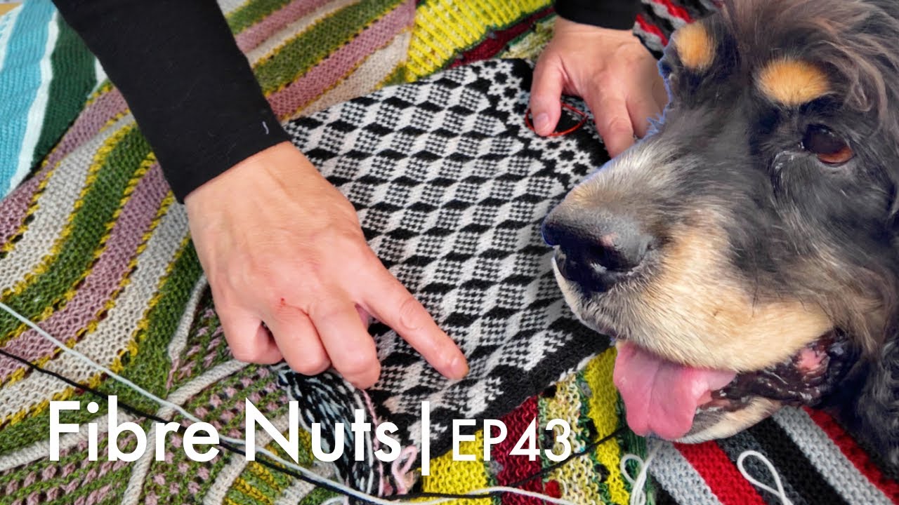 We Lost Lucky - MeHi’s Health - Wool & Knitting Gifts for Xmas in Brasil - EP43|P