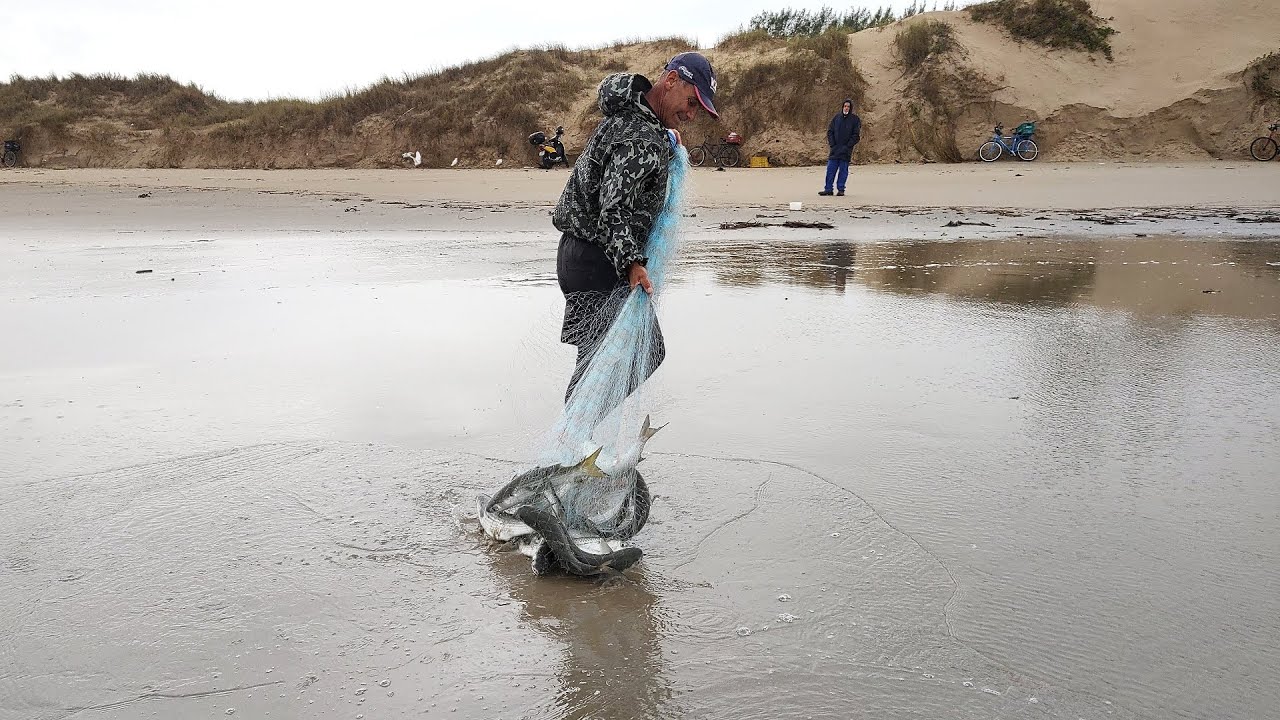 Pesca de tarrafas, 16-06-23, Barra de Tramandaí, botos ajudando pescadores puxar tainhas.