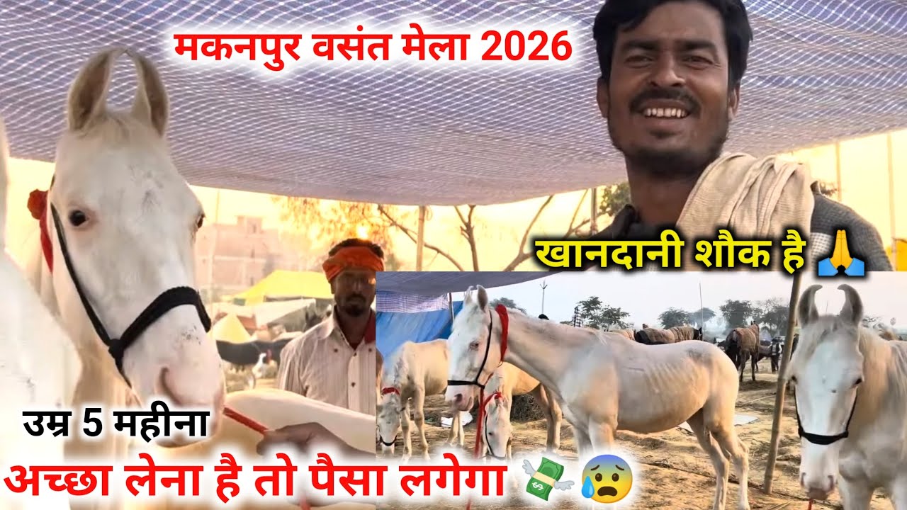 मकनपुर मेले में मिले समीर भाई से 🙏Top Quality ki बच्चा बच्ची है इनके पास 🔥2026