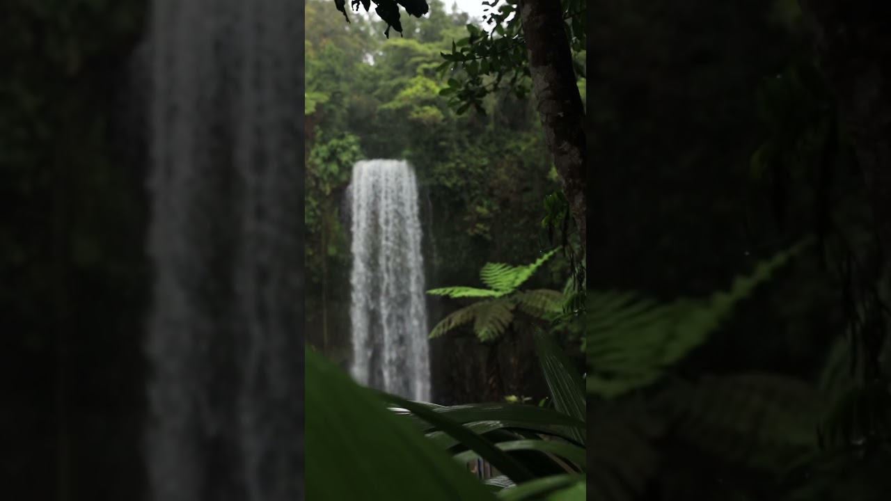 The most photogenic waterfall in Australia 🍃 📍Milla Milla Falls , Queensland #waterfall #australia