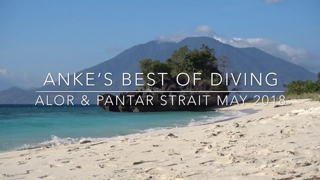 Anke&lsquo;s Best of Diving Impressions Alor & Pantar Strait