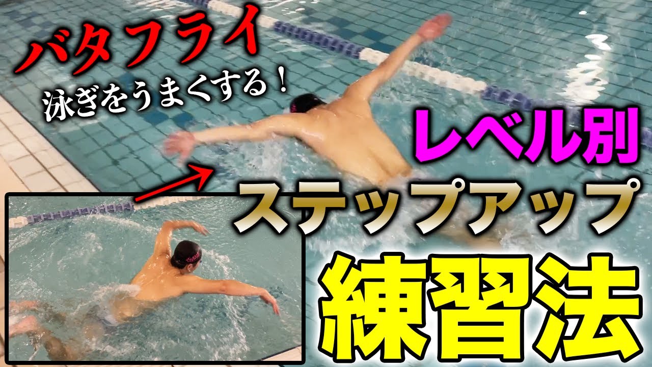 【バタフライ】今の泳ぎから一歩先へ。泳ぎのレベル別に練習やドリルを紹介します！#184