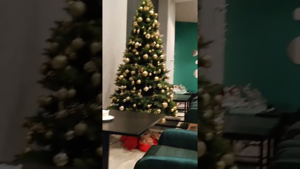 sprawdź Hotel Magnus Resort Bystra kiedyś Golden Tulipan Magnus k. Bielsko Biała niedaleko Szczyrku