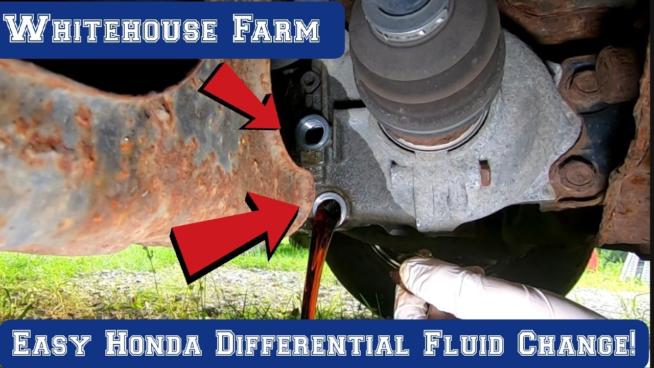 How To Change Honda CRV Differential Fluid! DIY