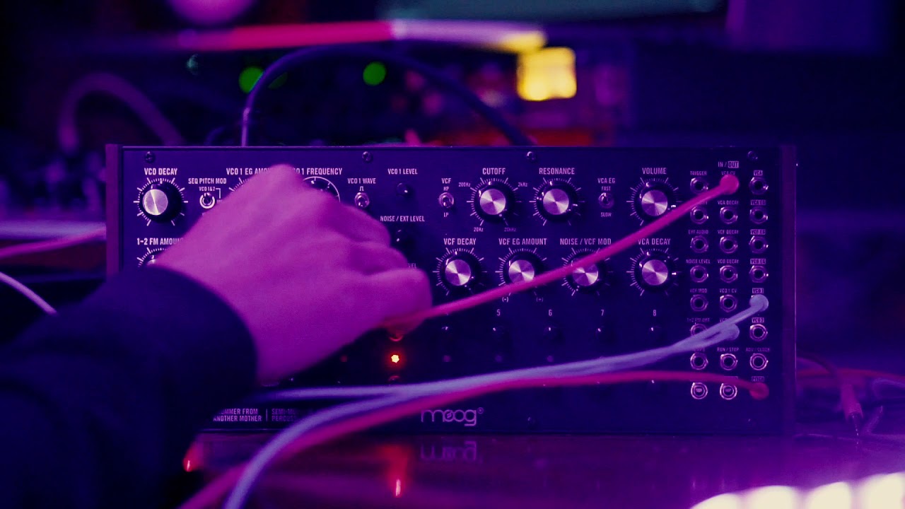 MOOG DFAM sound demonstration. No Talking baby.