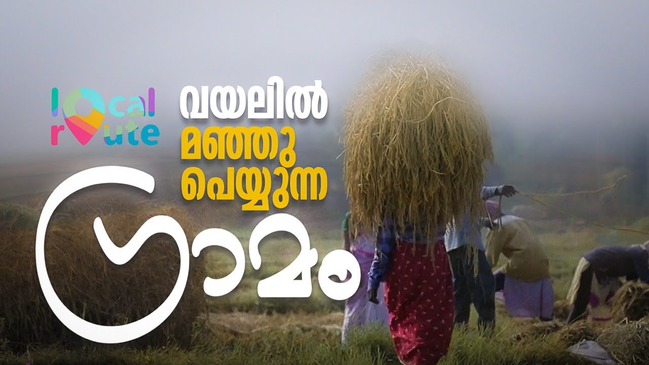 പത്തുമണി ആയാലും സൂര്യപ്രകാശമെത്താത്ത വന​ഗ്രാമം | Wayanad Chekadi | Mathrubhumi.com