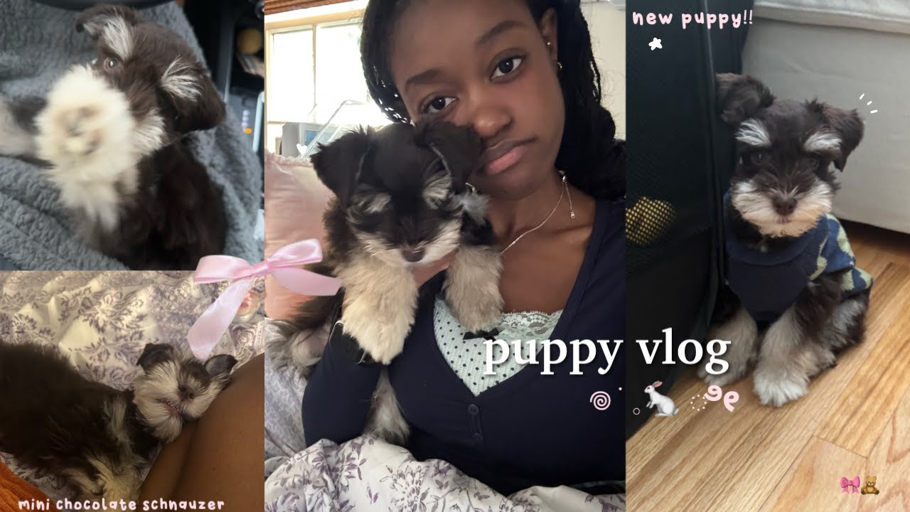 I GOT A PUPPY | puppy prep + first 24 hours ♡