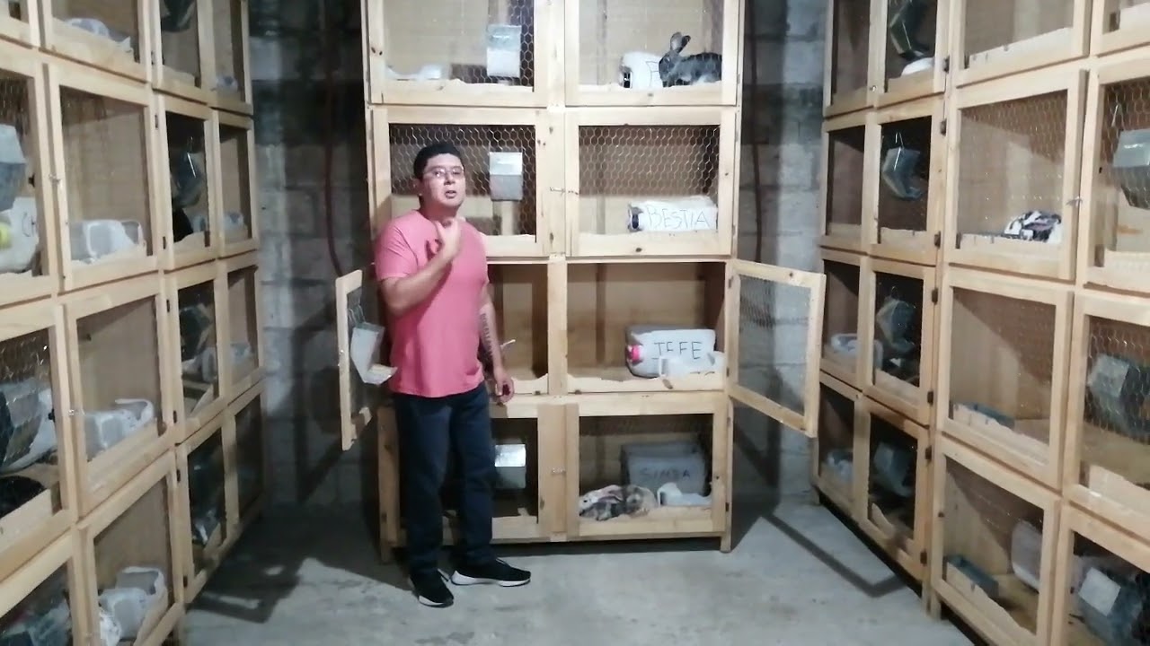 como hacer una granjita de conejos en un cuarto de 4m x 4m