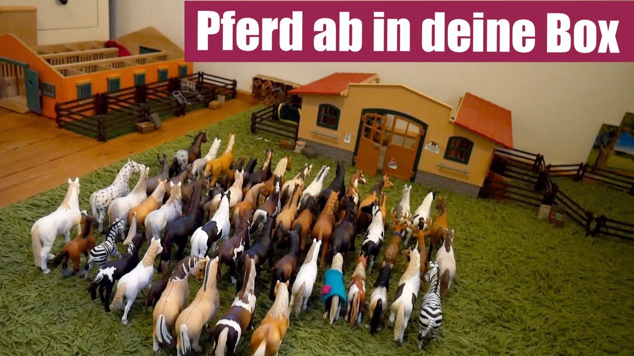 Pferd ab in deine Box (Schleich Video deutsch)