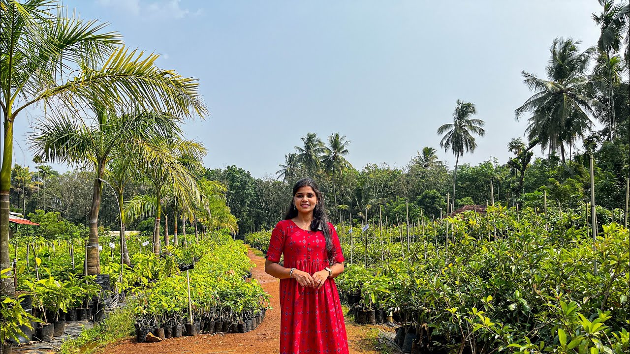 42 വർഷം തികയുന്ന സൗത്ത് ഇന്ത്യയിലെ ഏറ്റവും വലിയ ഫ്രൂട്ട് പ്ലാന്റ് നഴ്‌സറി | Talk Tickets