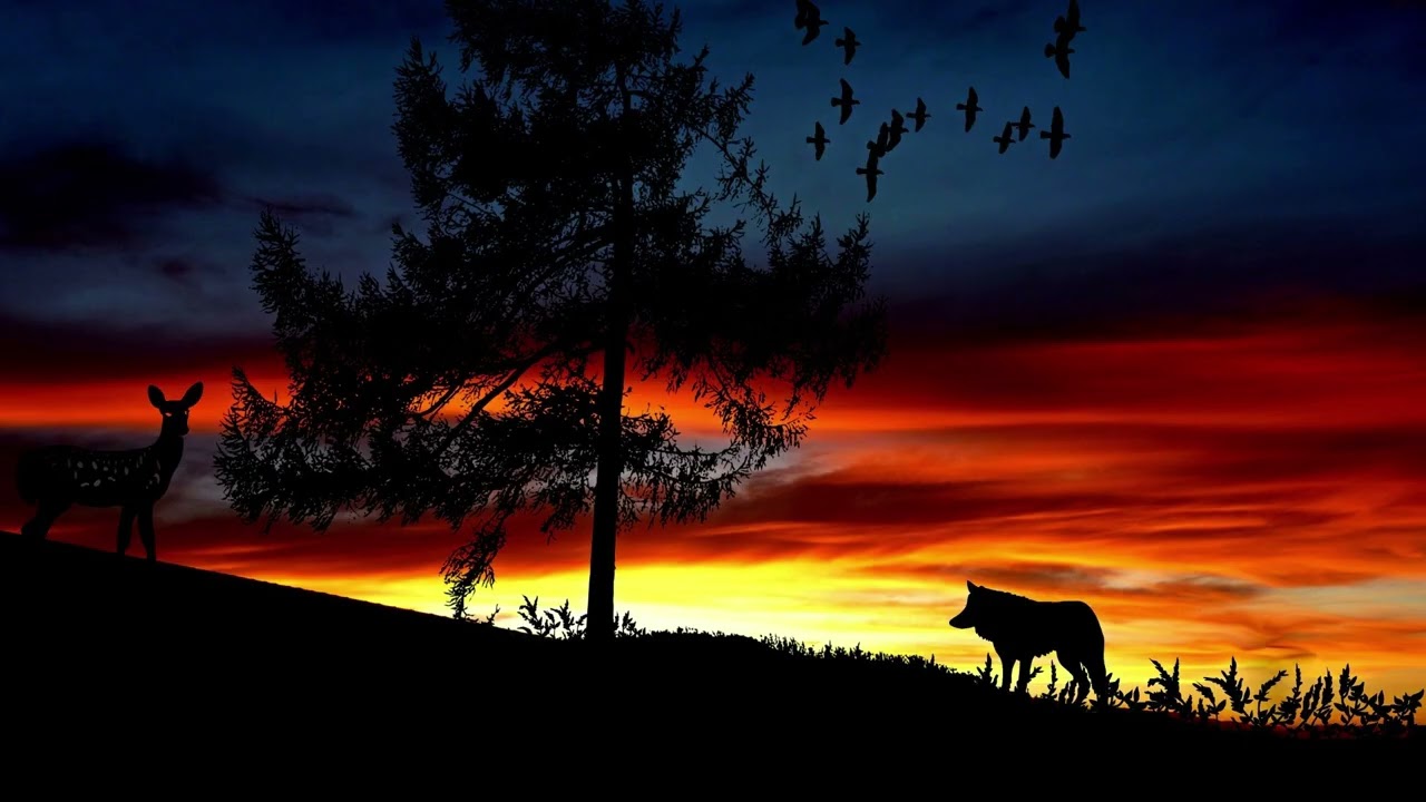 Eine tierische Fabel Der Wolf und das Reh