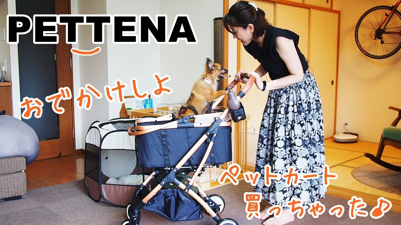 【PETTENA】ペットカート買っちゃいました♪【メグさんちのわんこ】