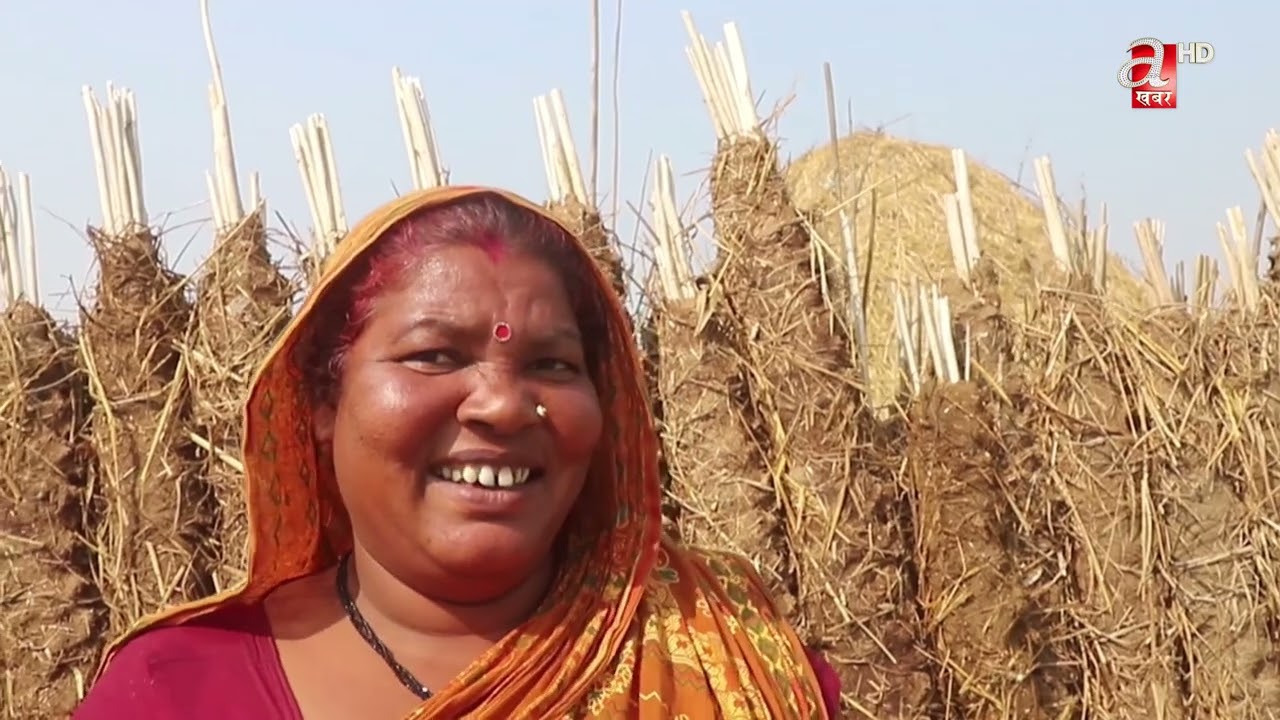 ग्रामिण क्षेत्रका महिलाहरु गुइँठा बनाउन व्यस्त
