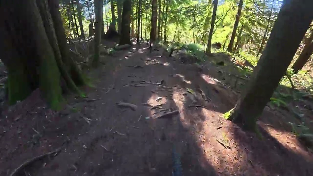 Jim's Jungle - Burnaby Mountain