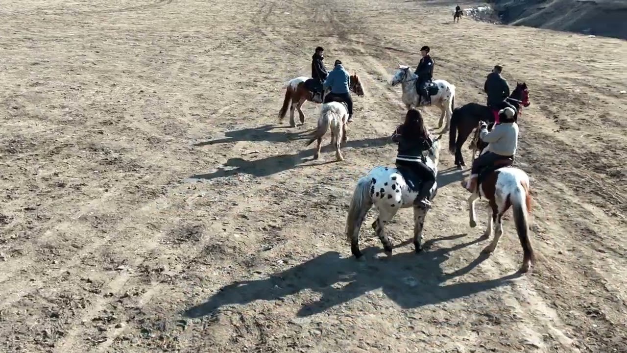 It s never too much to fall in love with anyone in this life#Horseback riding