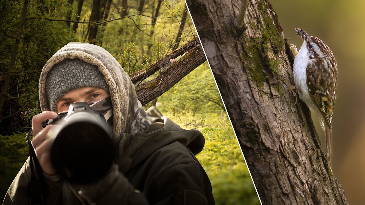 POV Nature Photography in the woods.