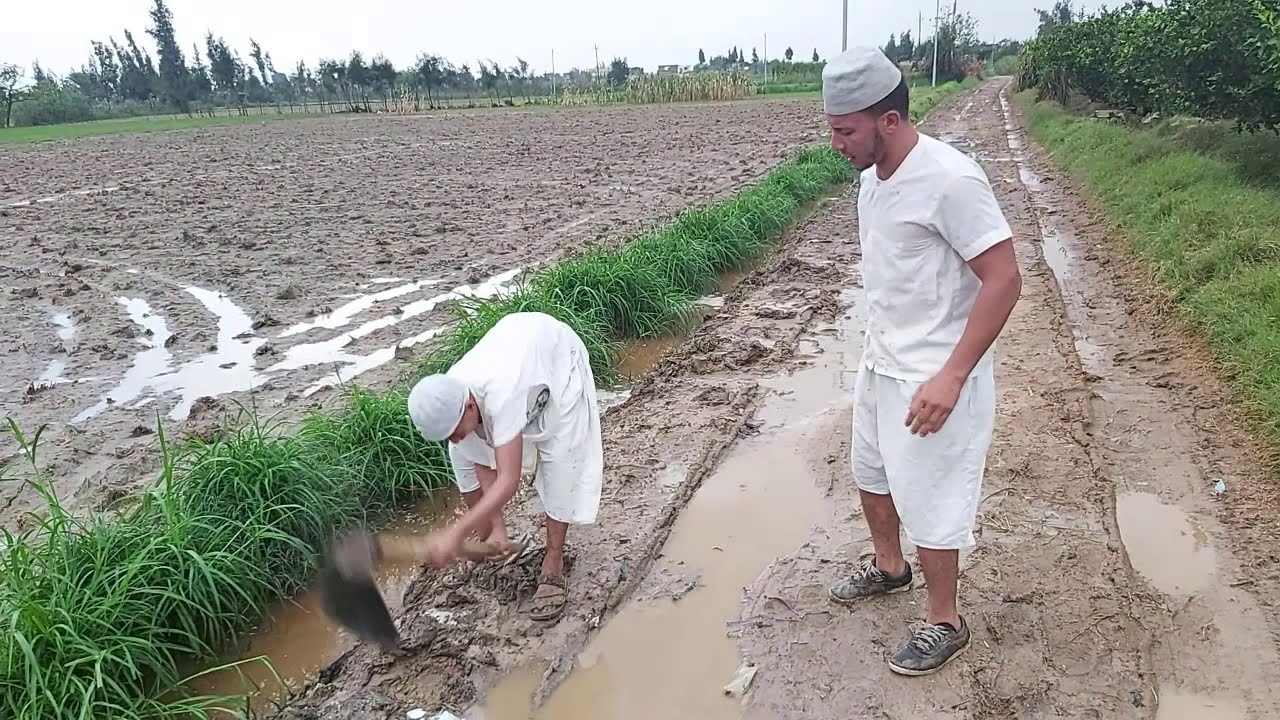انظر ماذا فعل الحاج زموط ف الطريق وشي غير متوقع من جابر معا تاجر البرتقال