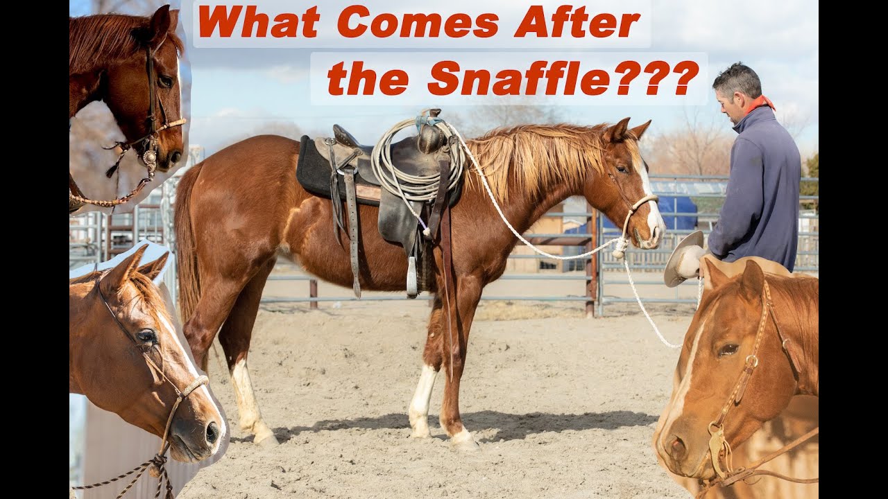 What Comes After the Snaffle?