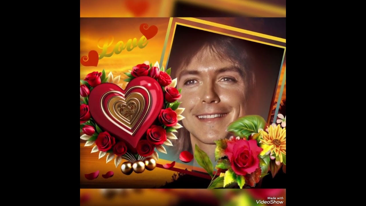 David Cassidy Tribute - No Bridge