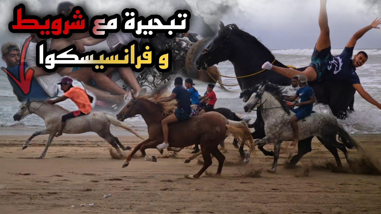 أخييرا شرويط و فرانسيسكوا في شاطئ عين ذياب مع لعربي ولحباب وشفوا أشنوا قال شرويط على فرانسيسكوا 😱...