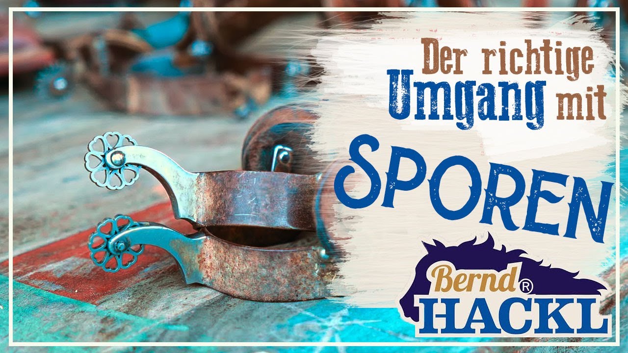 Alles Wichtige über Sporen | Bernd Hackl erklärt! 🐴