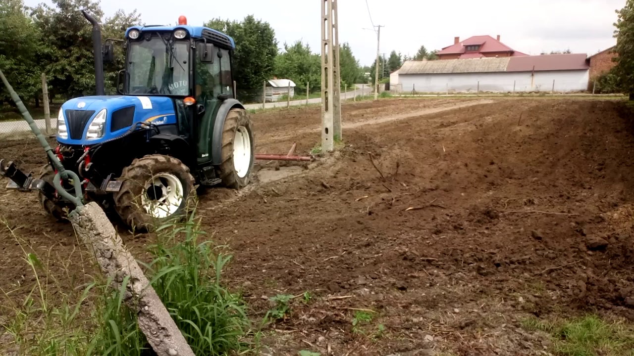 Orka | Bronowanie | Obornik | Wyrywanie wiśni 2018