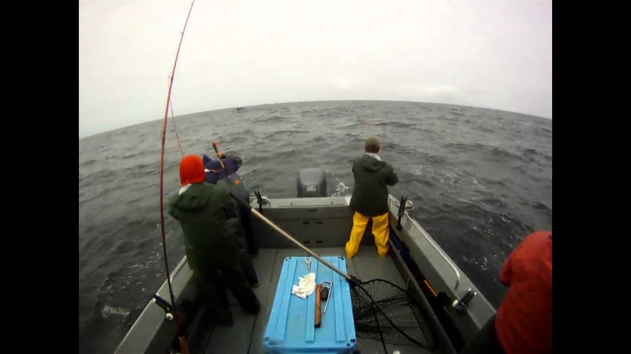 Mooching for King Salmon in Southeast Alaska