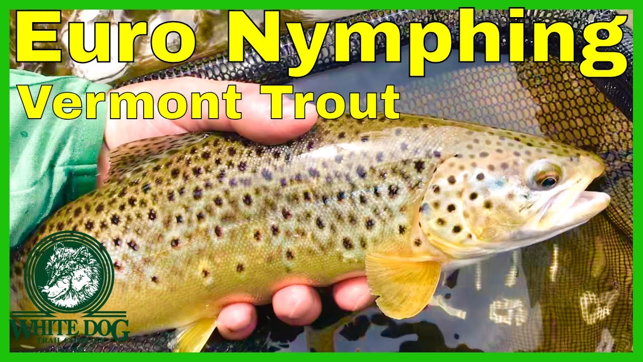 Euro Nymphing in Vermont - 2018 Fly Fishing