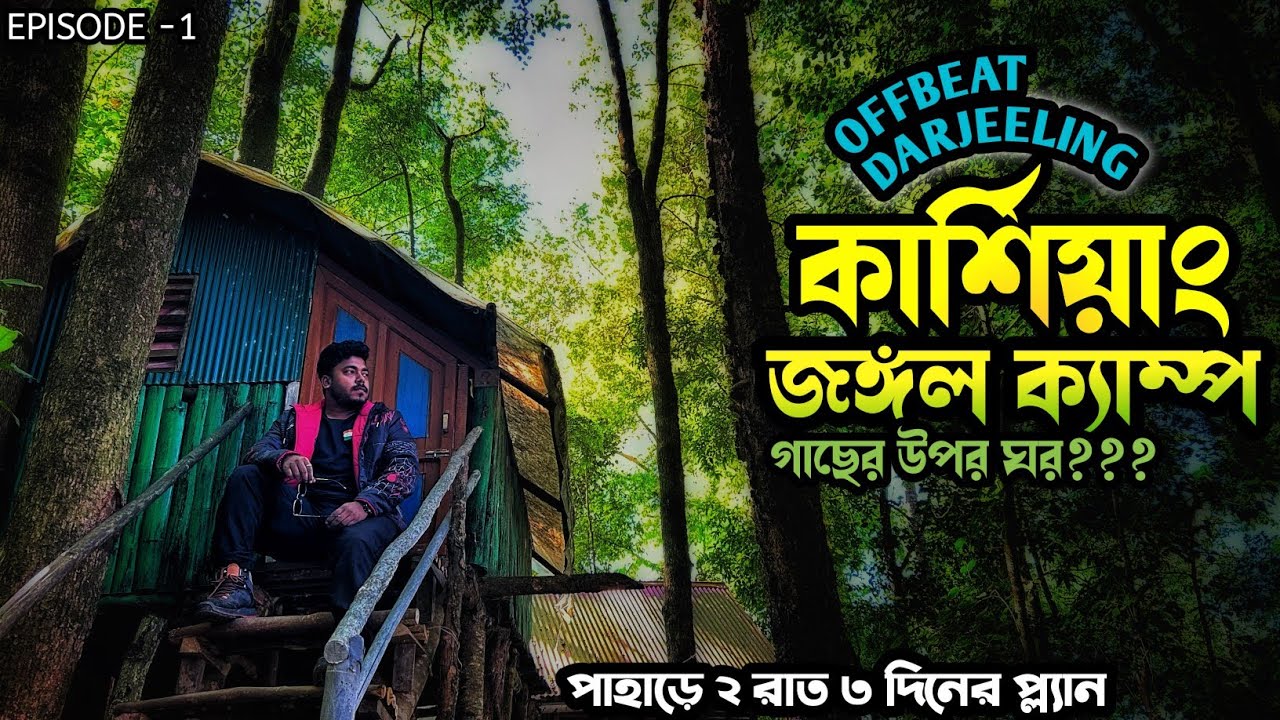 Kurseong Tree House | North Bengal 2024 | Offbeat Darjeeling | কম বাজেটে ট্যুর প্ল্যান