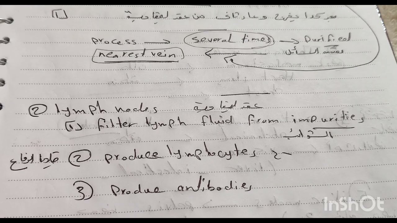 شرح جهازي ليمفاوي بالخرائط بطريقه مبسطه ماده 