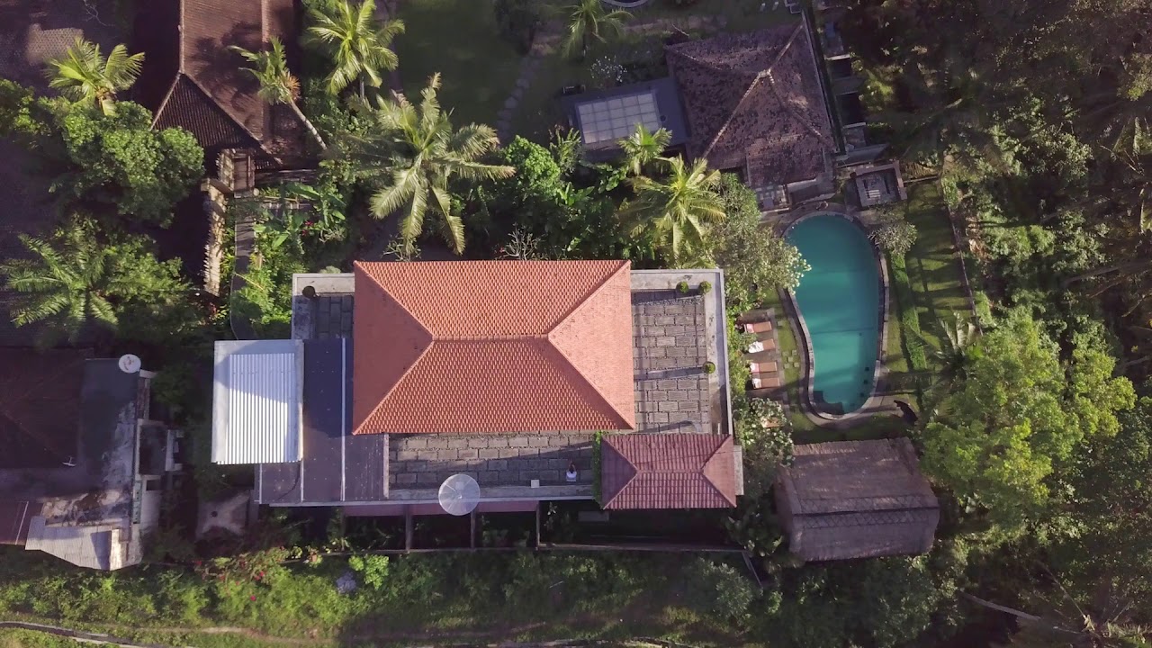 Welcome to the jungle at Bucu View Resort