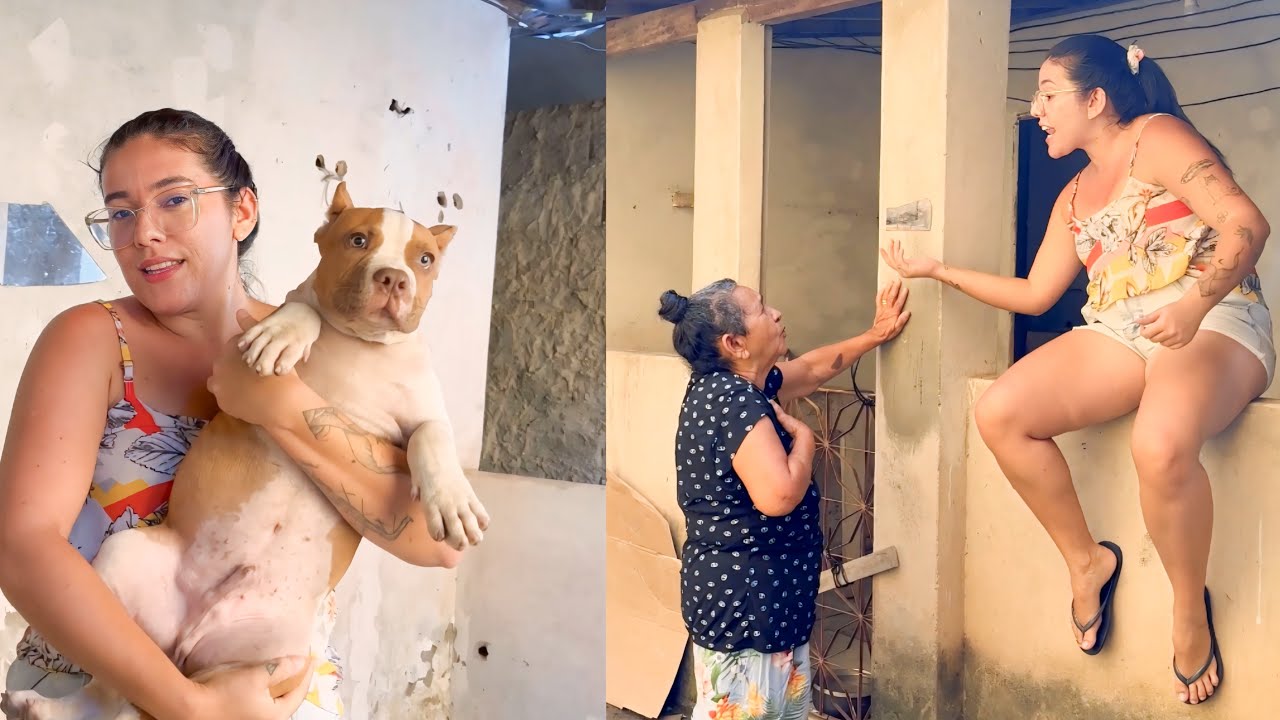 ANDRÉIA MOSTRA O NOVO INTEGRANTE DE PILILIU E SUA AVÓ FICA FURIOSA | ANDRÉIA PEREIRA