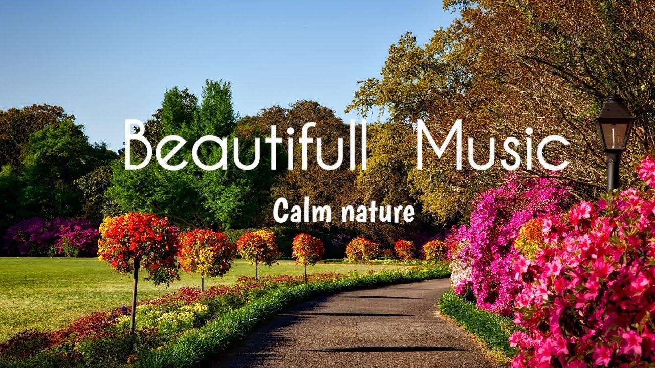 🔴Anti - Anxiety Cleanse l Peaceful Positive Energy Meditation Music l Relax Mind Body| Healing Music
