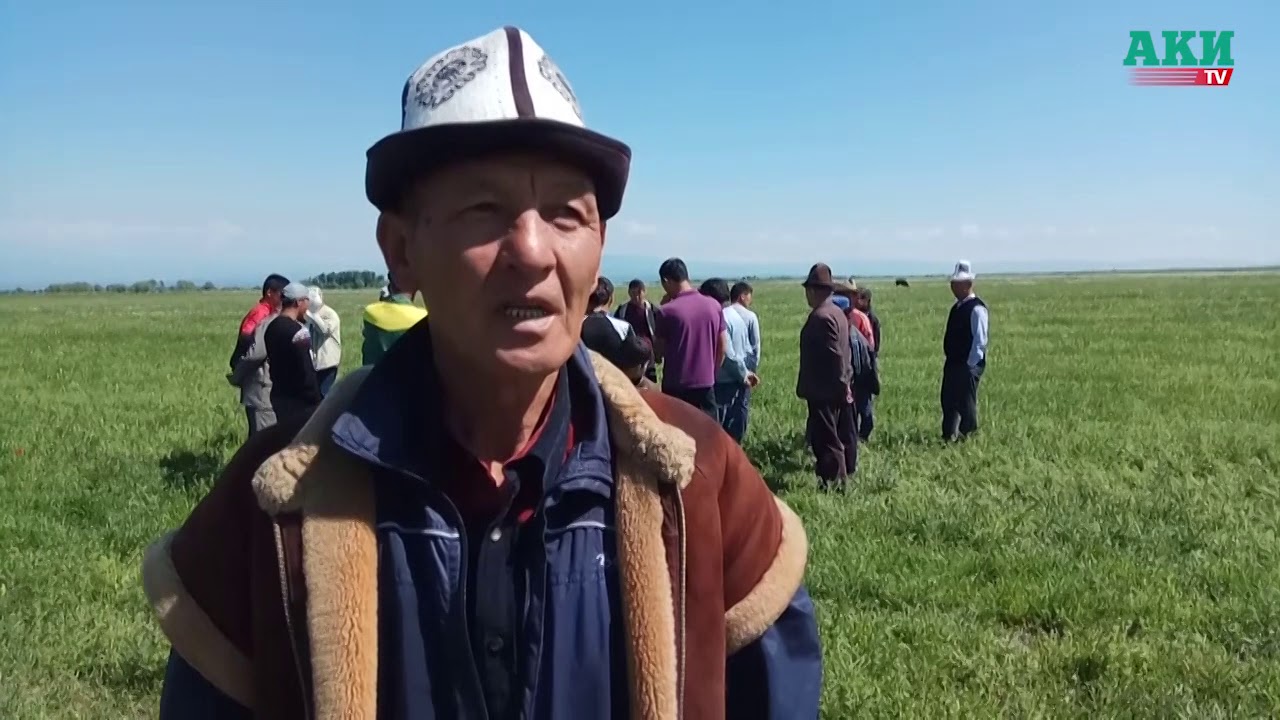 Мады айыл аймагынын тургундары айыл өкмөттү жер сатууга айыптоодо