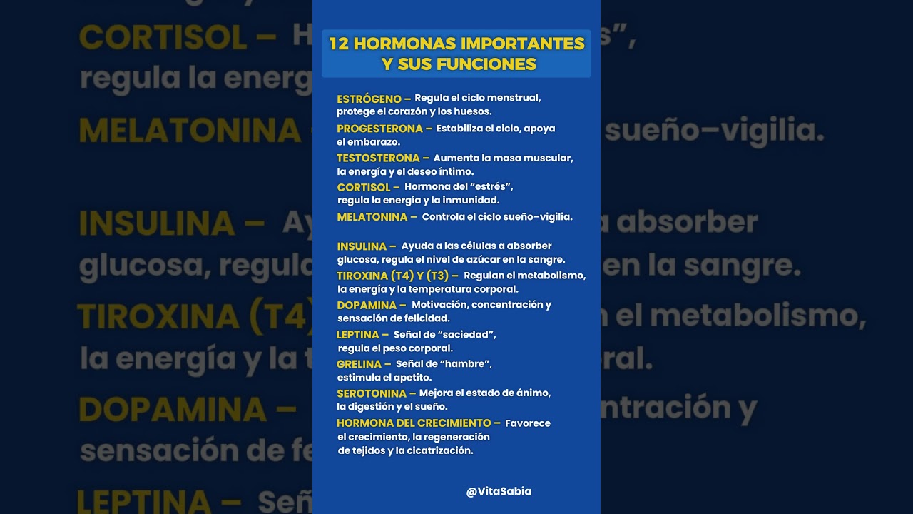 12 HORMONAS IMPORTANTES Y SUS FUNCIONES
