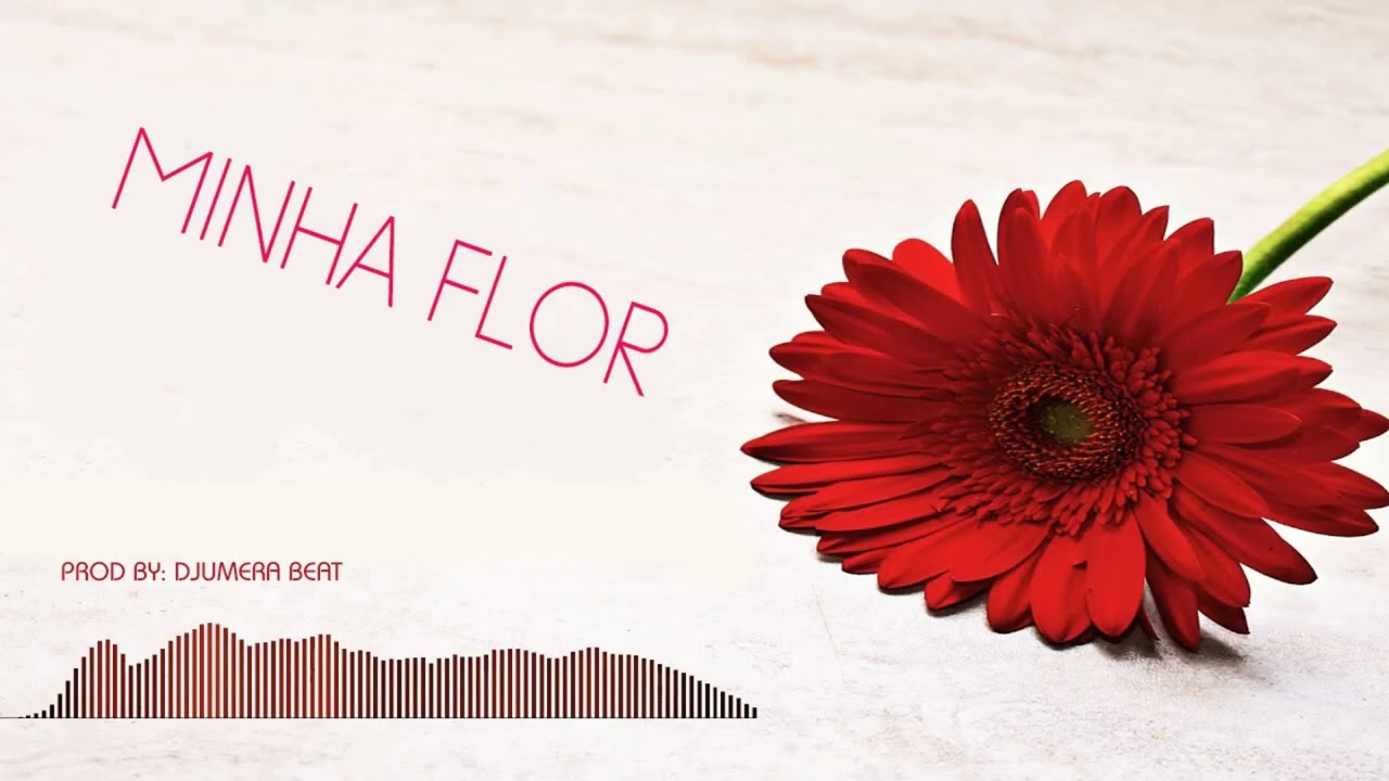 free zouk instrumental minha flor gerilson insrael x anderson mario Prod Djumera Beat