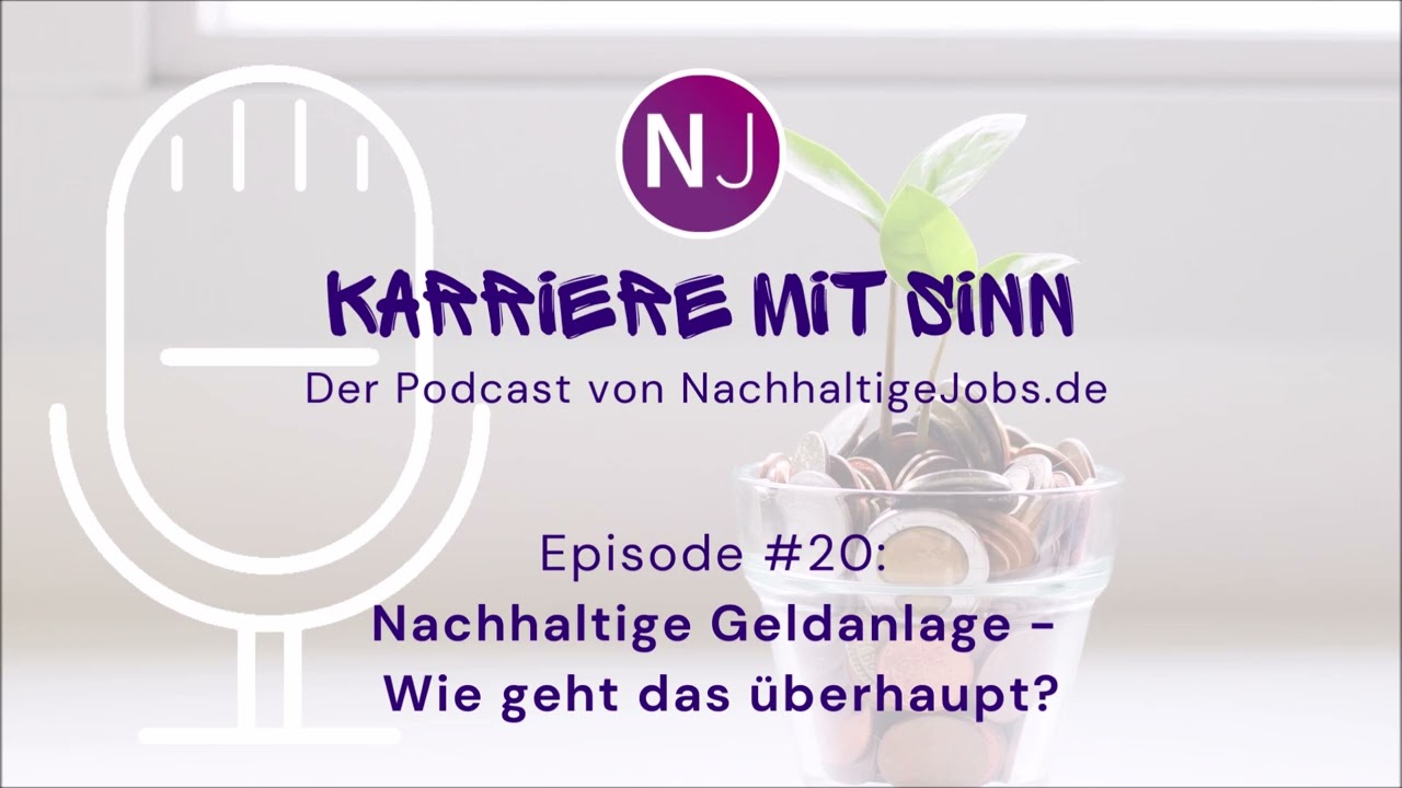 💸 Nachhaltige Geldanlage: Wie geht das überhaupt? Interview mit Niklas Krämer von Finance 4Future