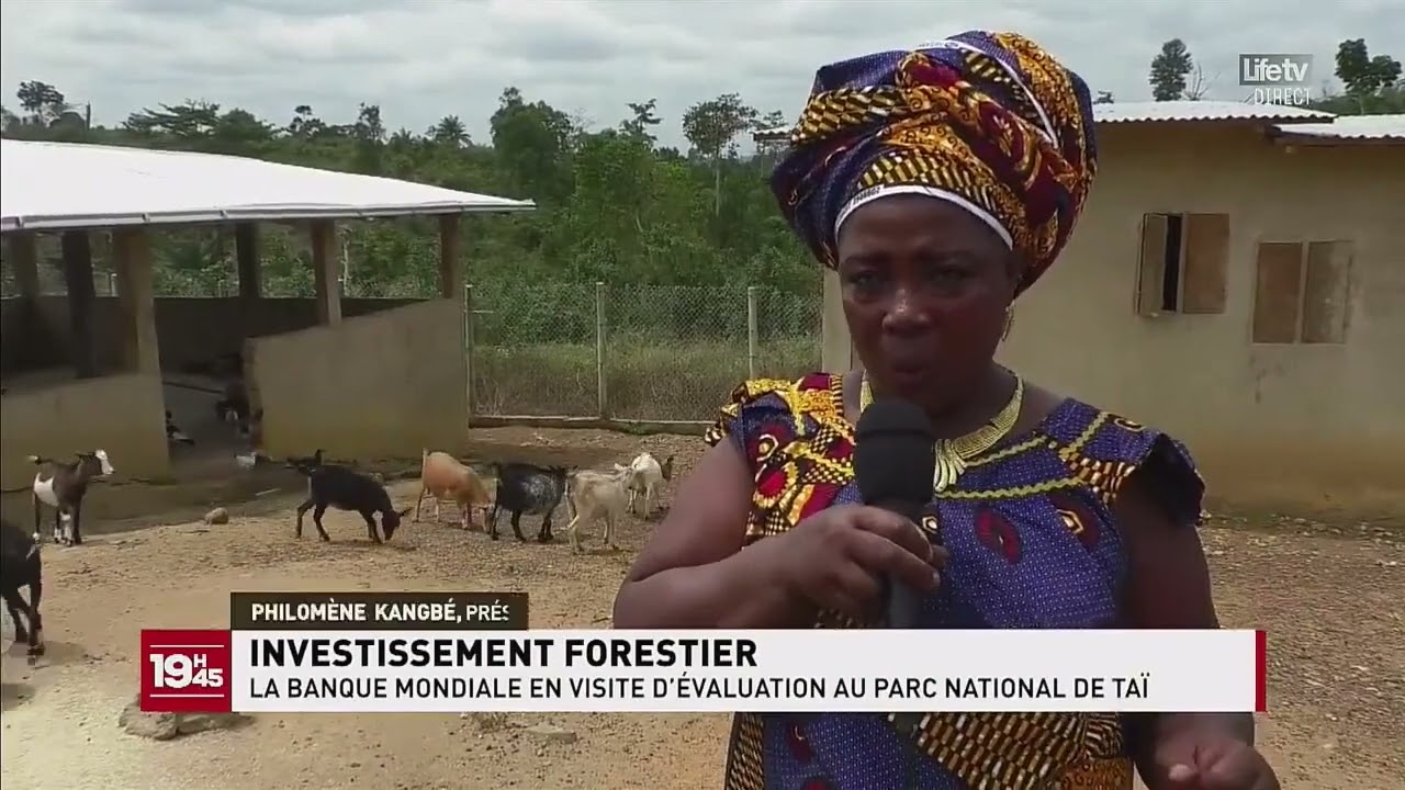 Projet d'Investissement Forestier: La Banque Mondiale en visite au Parc national de Taï