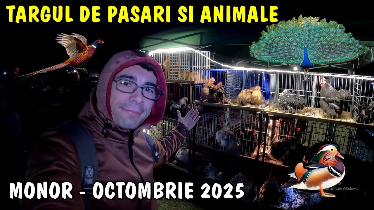 Viața la țară 👍Târgul de păsări și animale de la Monor 🕊 Octombrie 2025 🐓 Ungaria
