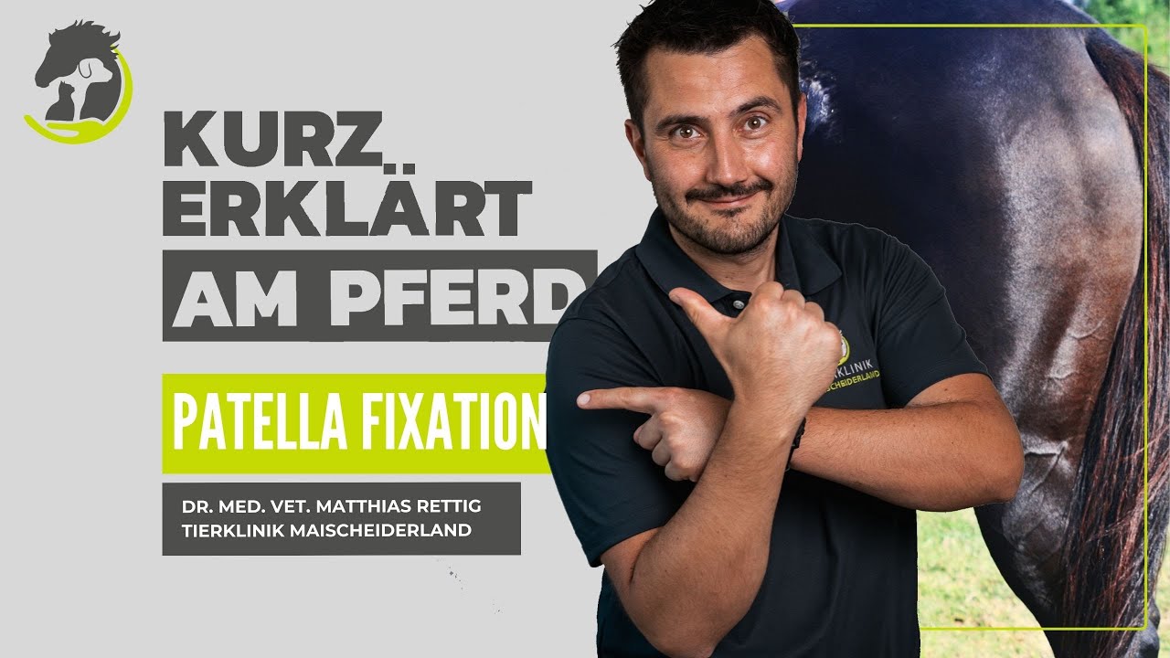 PATELLA-FIXATION: Was ist die Patella-Fixation und was kann man dabei machen? Kurz erklärt am Pferd.