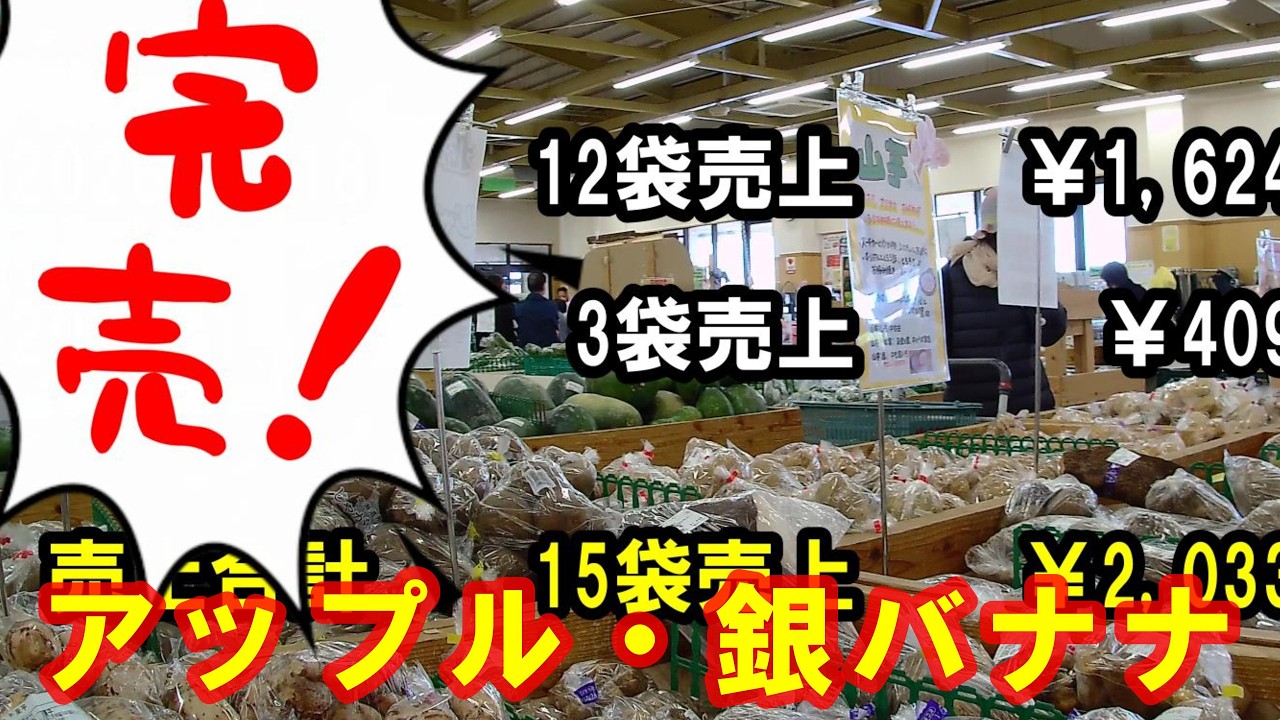 【バナナ編】アップルバナナ・銀バナナ出荷！売上結果は？