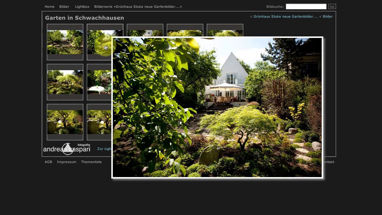 Arbeit mit der Bilddatenbank Pixtacy auf der Seite andreascaspari.com
