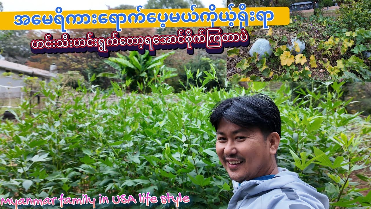 အမေရိကားရောက်ပေ့မယ့်ကိုယ်ရိုးရာဟင်းသီးဟင်းရွက်တော့ရအောင်စိုက်ကြတာပဲ
