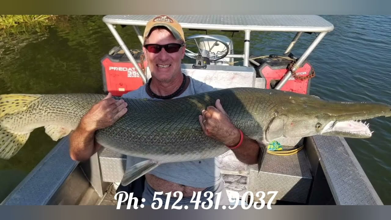 MASSIVE Gator Gar Big Fish Bow Fishing Texas Captain Mark Malfa