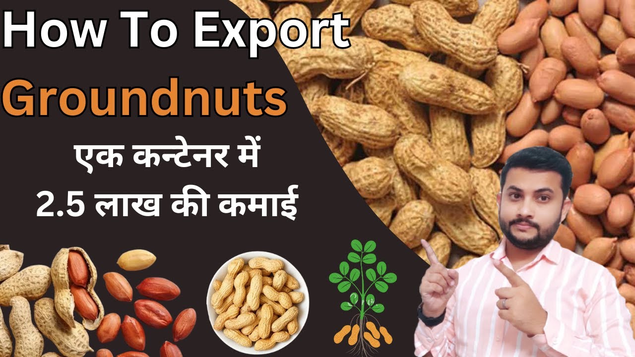 How To Export Groundnuts From India || Earn 2.5 lakh Rs By Exporting Groundnut || Peanut Export