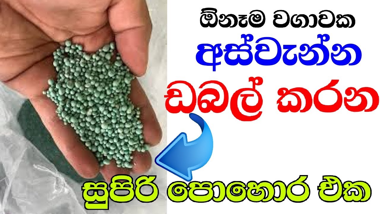 How to use Yaramila fertilizer :Benefits of using agricultural materials යාරමිලා පොහොර භාවිතා කරමු