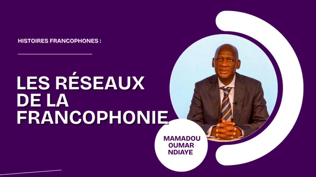 Histoires francophones -  Mamadou Oumar Ndiaye : fausses informations et démocratie