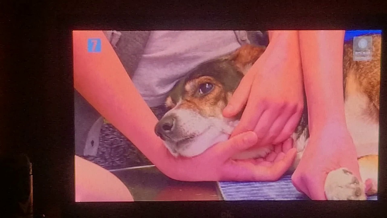ZAPPING Cyfrowy Polsat 20.04.2017 - dekoder HD5000 po aktualizacji